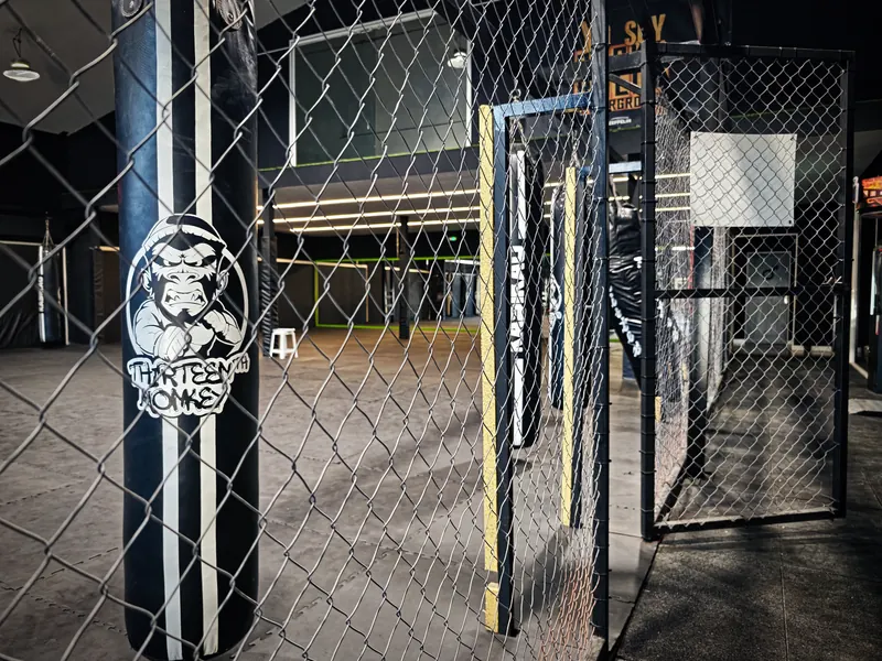 Saco con el logotipo de Thirteenth Monkey