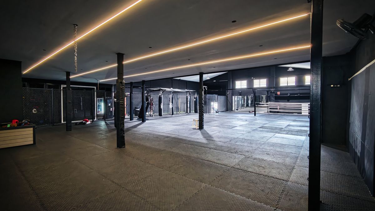 Sala de entrenamiento de Thirteenth Monkey, con tatami, sacos y ring